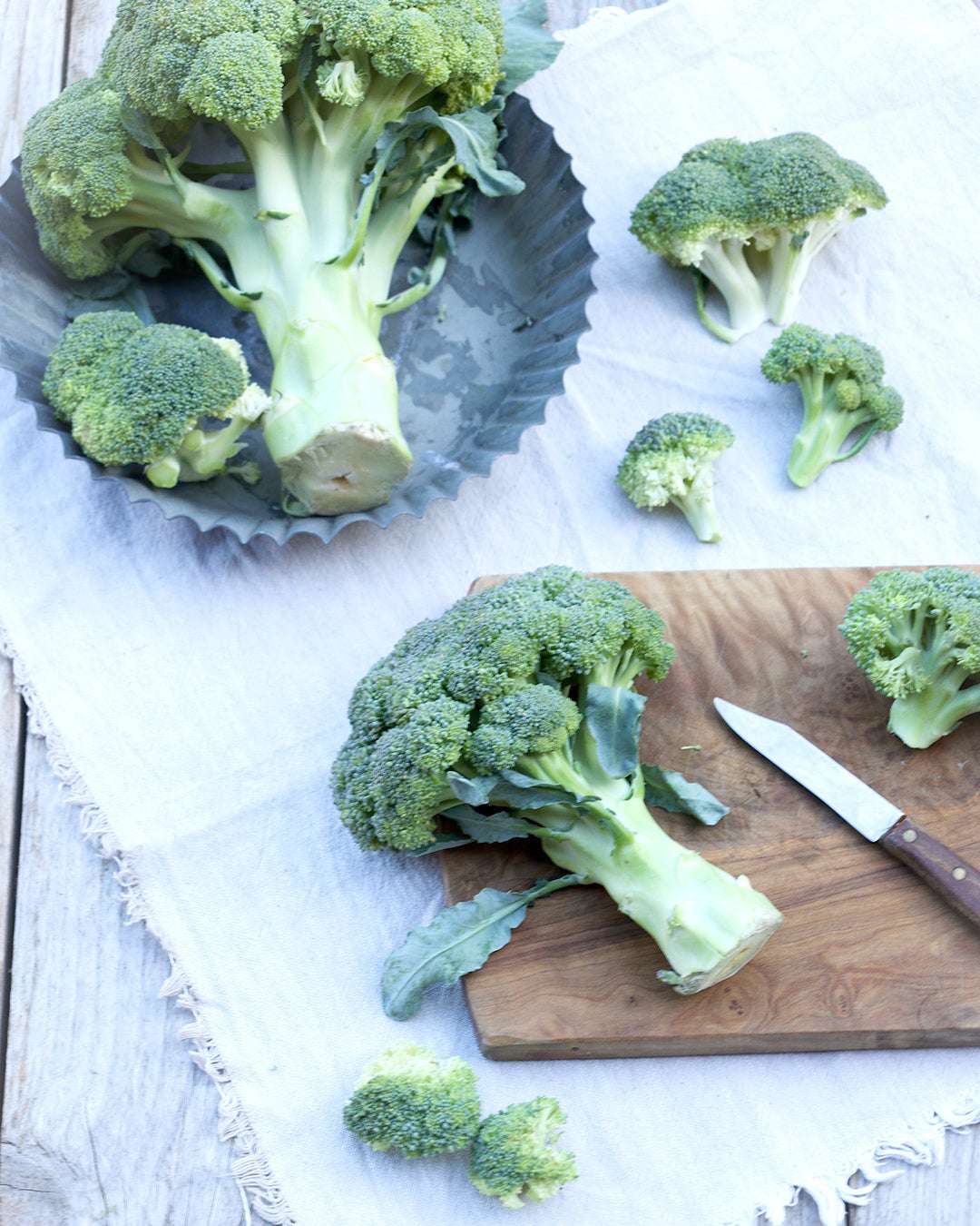 Brokkoli 'Rasmus' aus der Gartenzauber-Saatgutserie