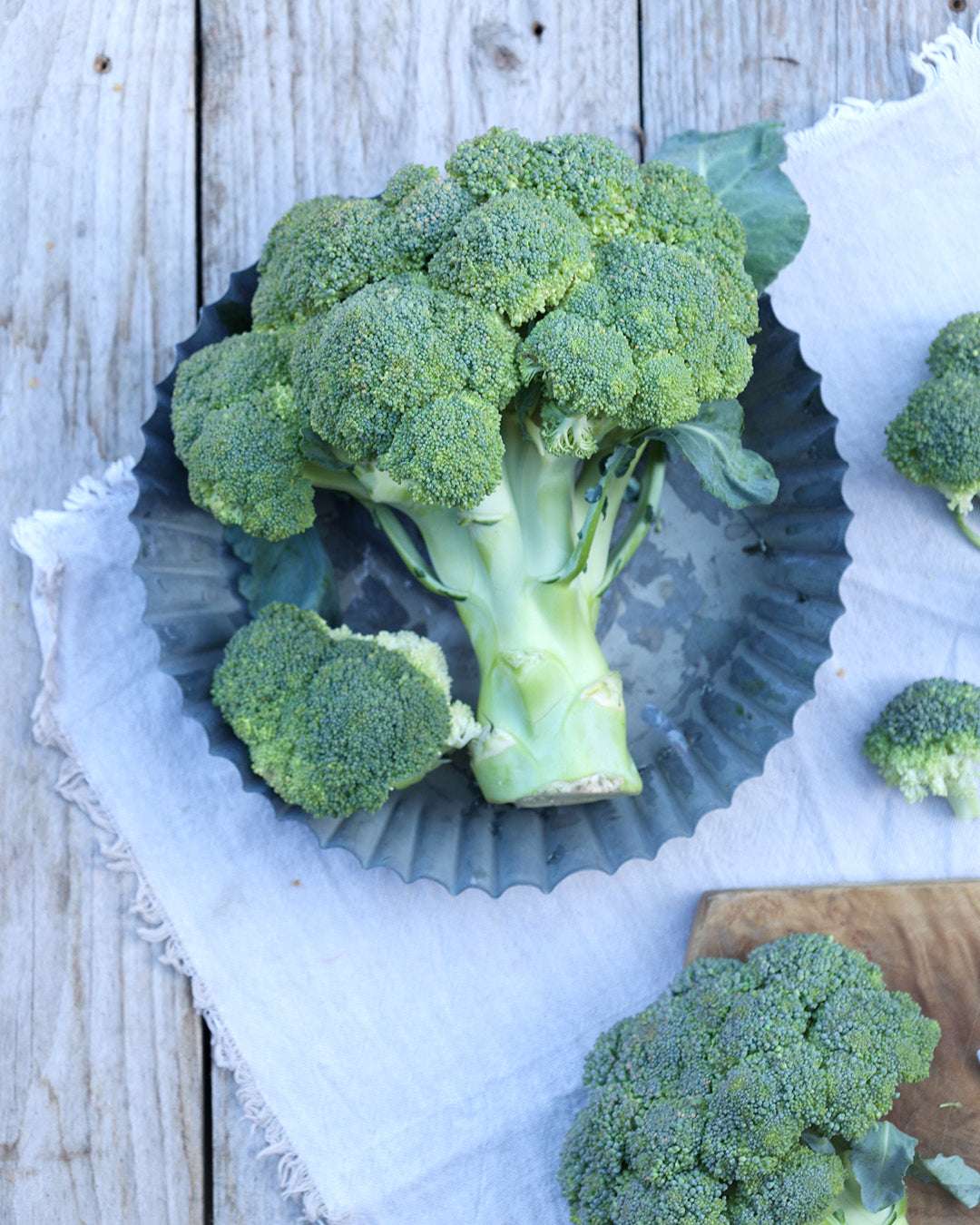 Brokkoli 'Rasmus' aus der Gartenzauber-Saatgutserie