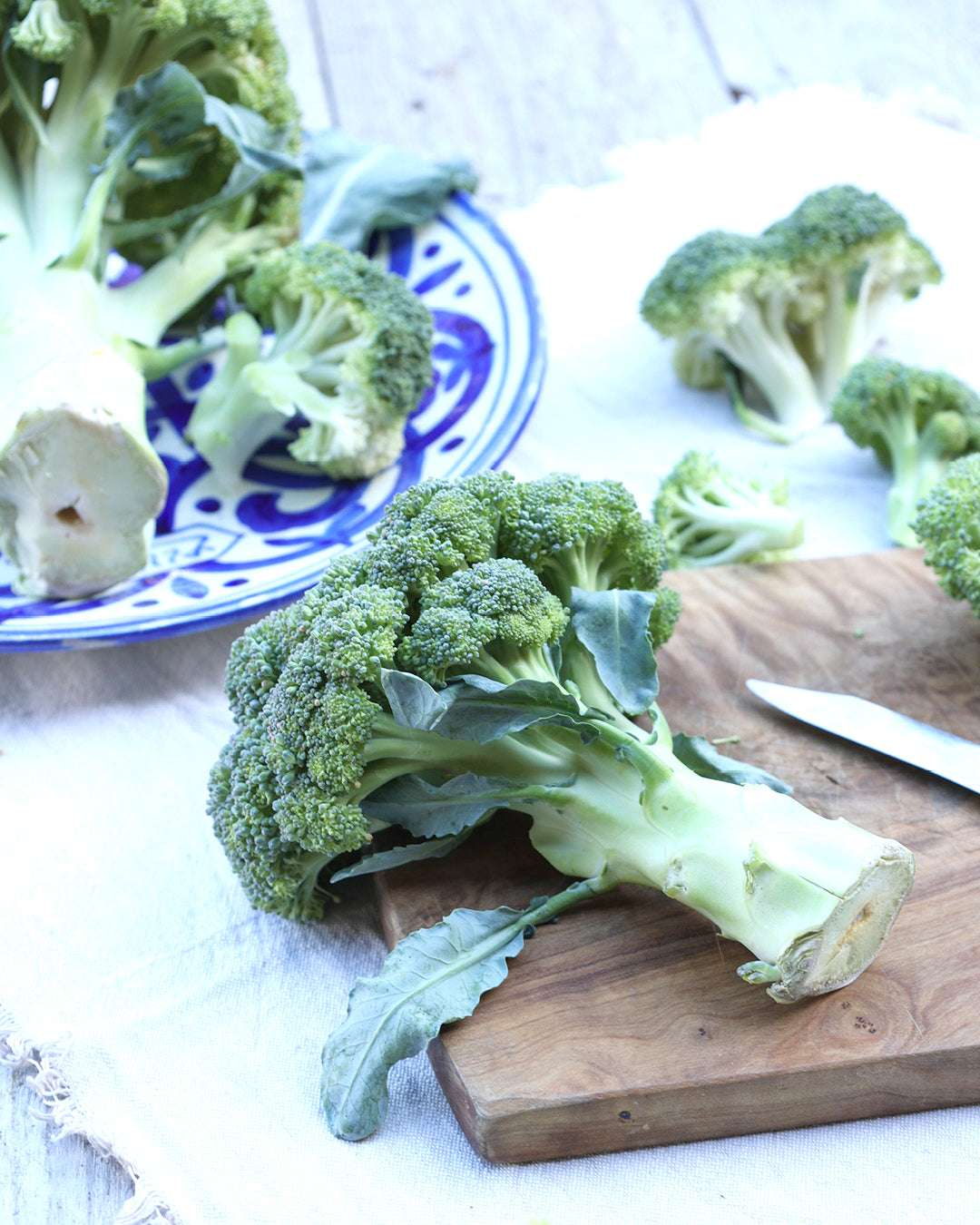 Brokkoli 'Rasmus' aus der Gartenzauber-Saatgutserie