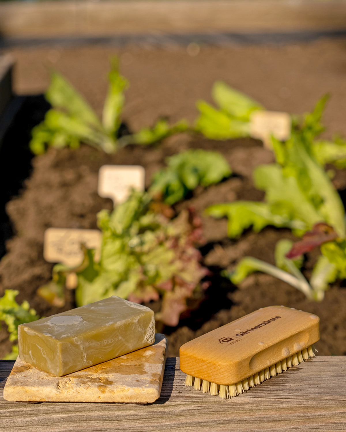 Die Gärtnerbürste von Bürstenhaus Redecker aus Buchenholz mit Natur Borsten