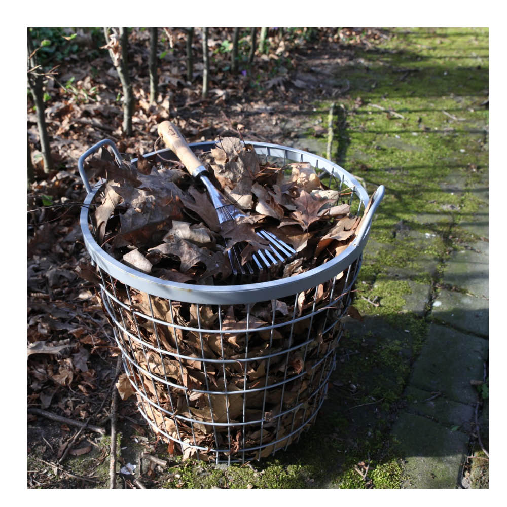 Handrechen aus Edelstahl beim Entfernen von Blättern im Garten – ideal für Hochbeete