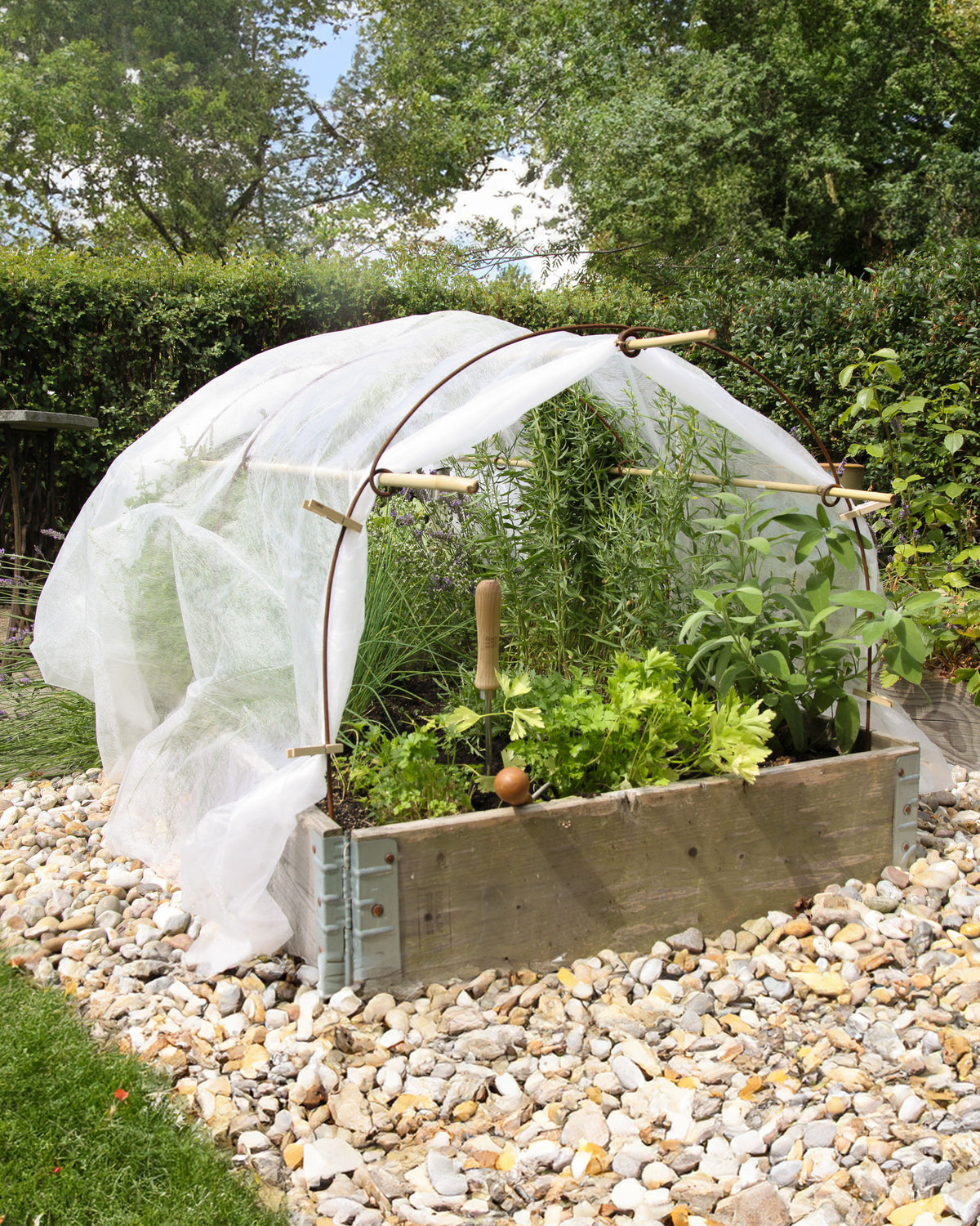 Tunnelbogen im Garten – vielseitig einsetzbar als Rankhilfe oder Pflanzenschutz