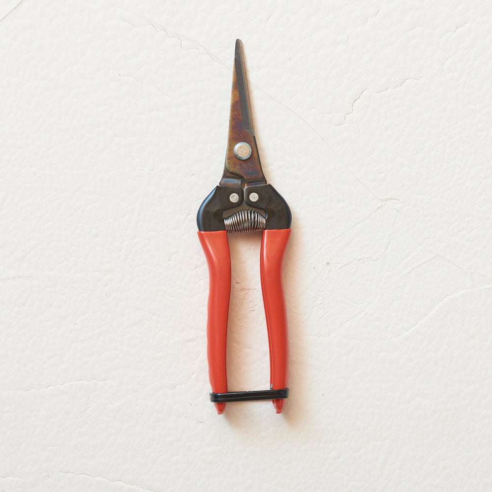 Geschlossene ARS Allzweckschere in Rot mit spitzen Klingen und ergonomischen PVC-Griffen.