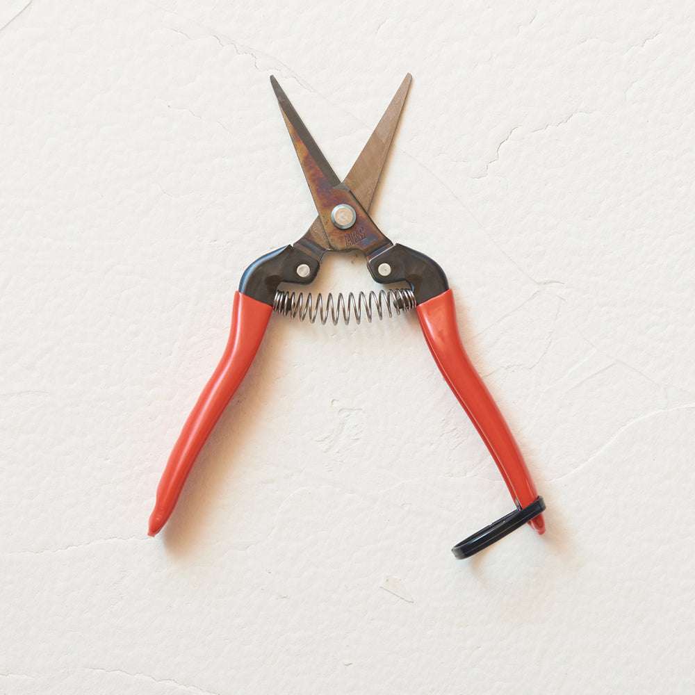 Geöffnete ARS Allzweckschere mit langen, spitzen Klingen und roten rutschfesten PVC-Griffen.