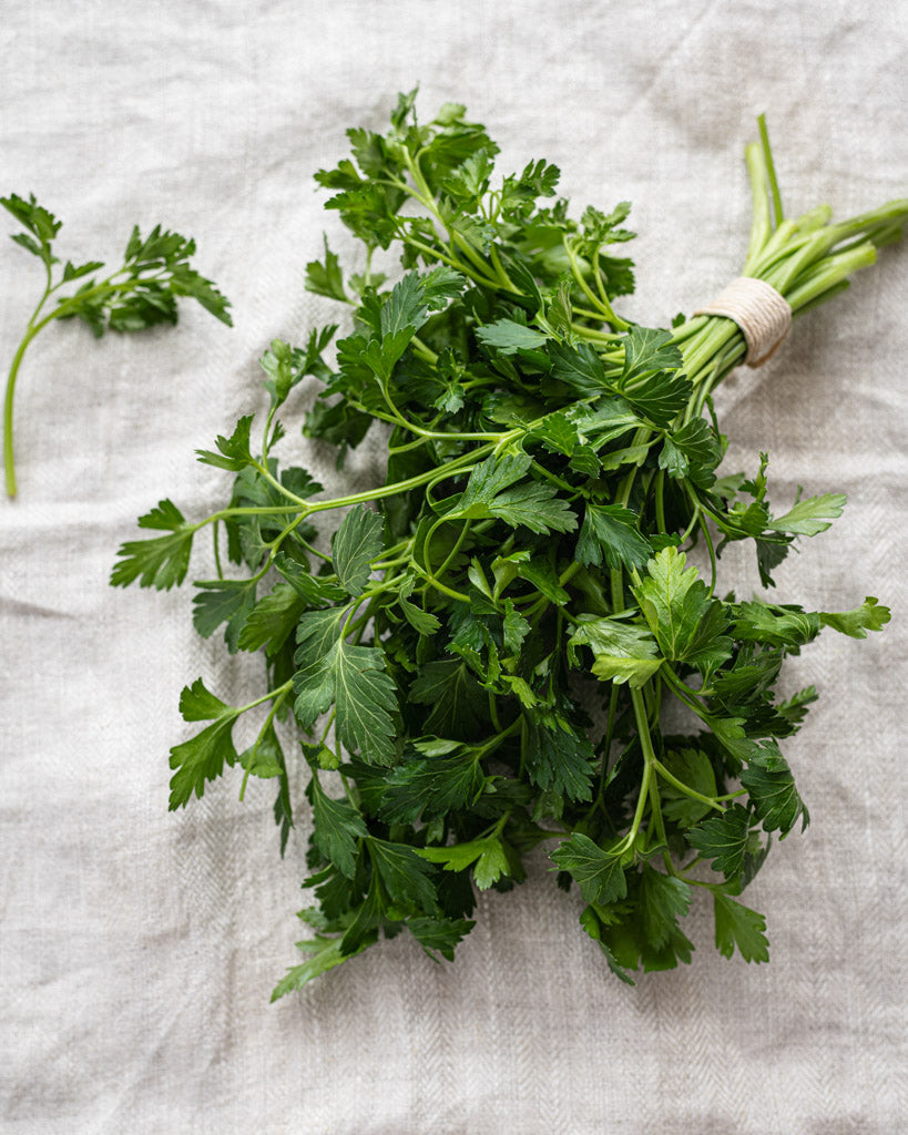 Grüne Petersilie aus der Saatgut-Kollketion von Gartenzauber