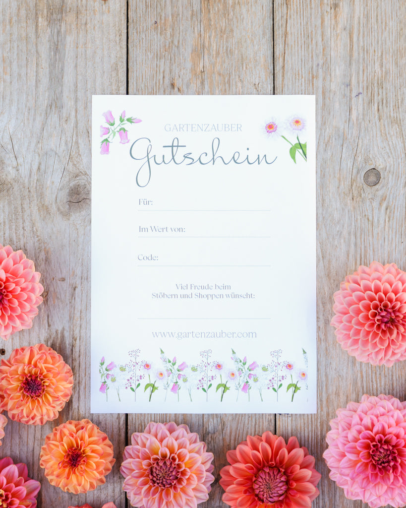 Gartenzauber Geschenkgutschein mit floraler Illustration, umgeben von Dahlienblüten auf Holzhintergrund