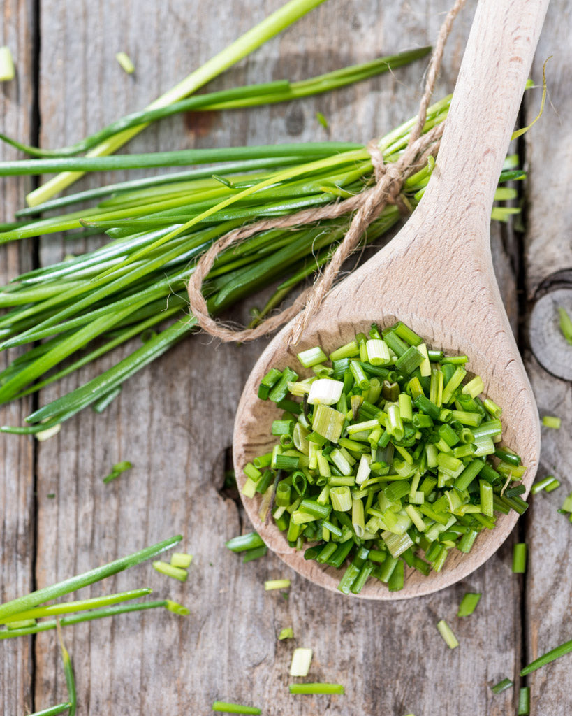Grüner Schnittlauch aus der Saatgut-Kollektion von Gartenzauber