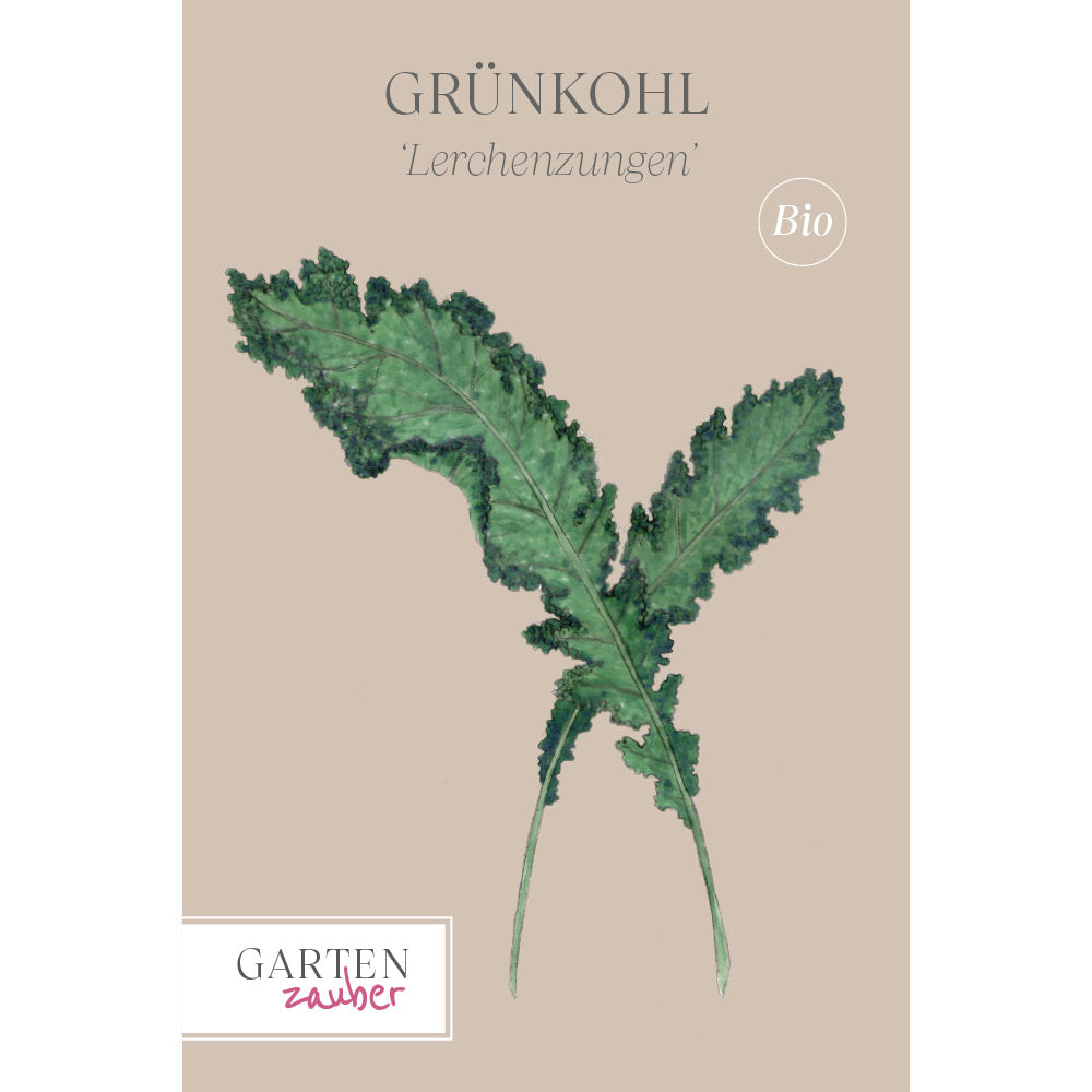 Vorderansicht Saatguttuete Grünkohl 'Lerchenzungen' aus der Gartenzauber-Saatgutserie