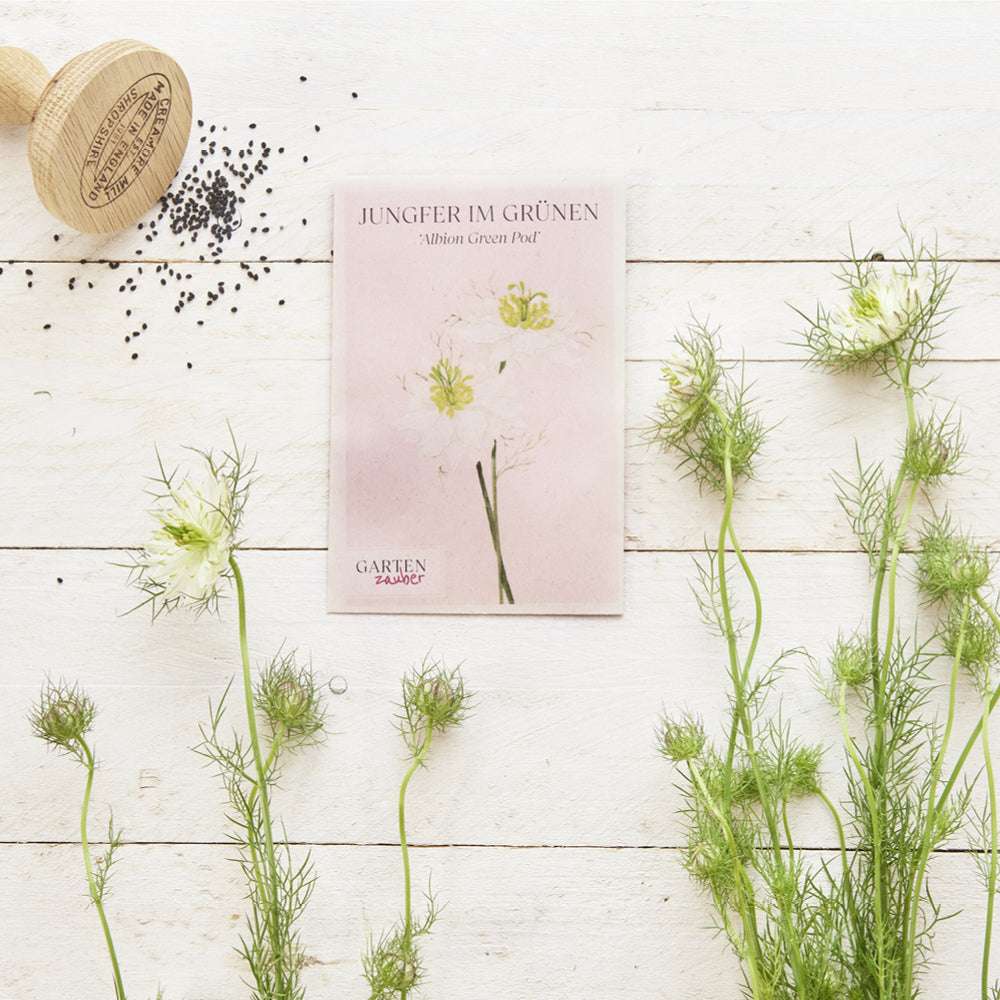 Vorderansicht Saatguttuete  Jungfer im Grünen - Nigella damascena 'Albion Green Pod'  aus der Gartenzauber-Saatgutserie dekoriert mit den blühenden Pflanzen und Samen