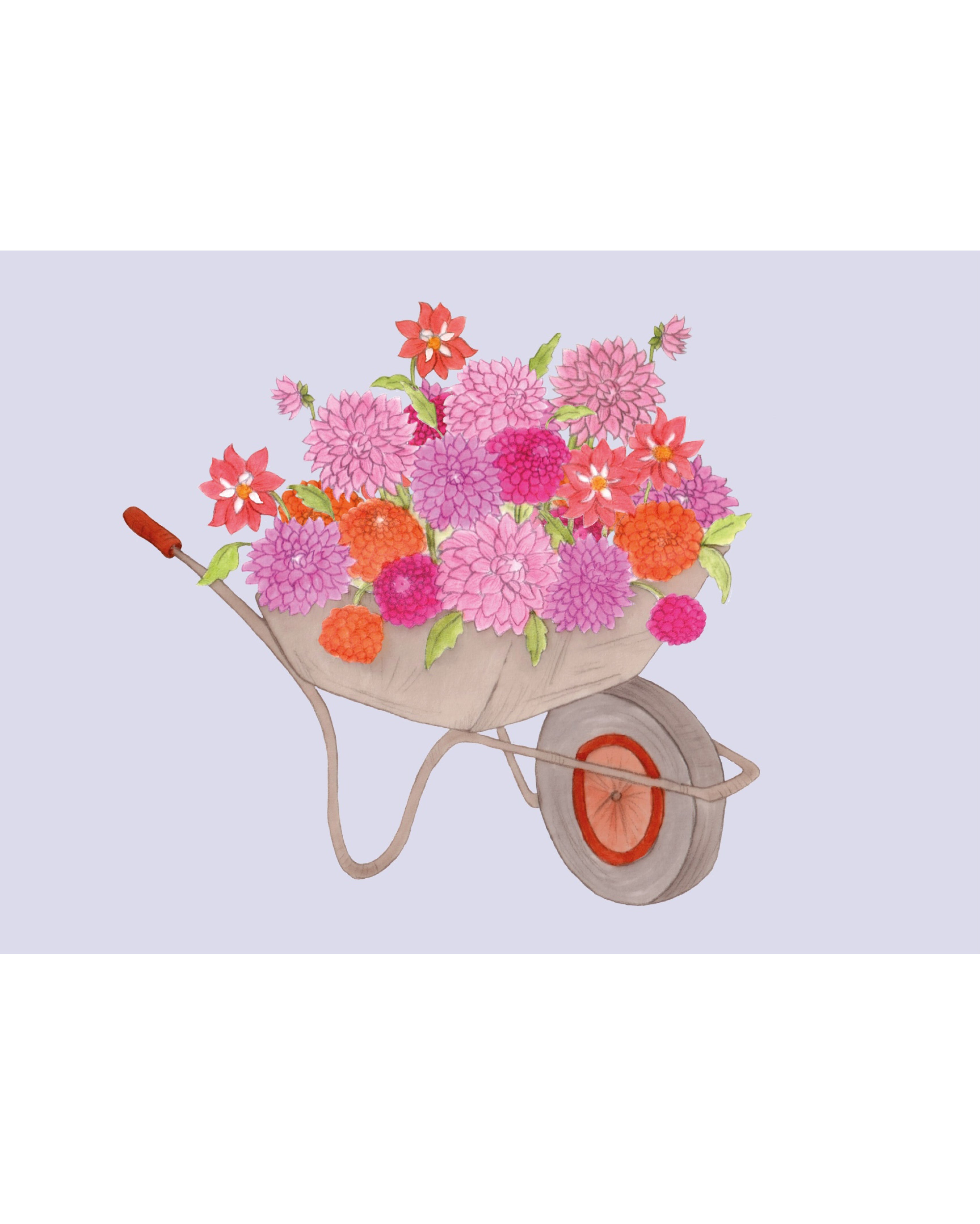 Klappkarte mit handgezeichneter Schubkarre voller Dahlien – Gartenzauber Papeterie, detailreich illustriert in Orange-, Rosa- und Lilatönen.