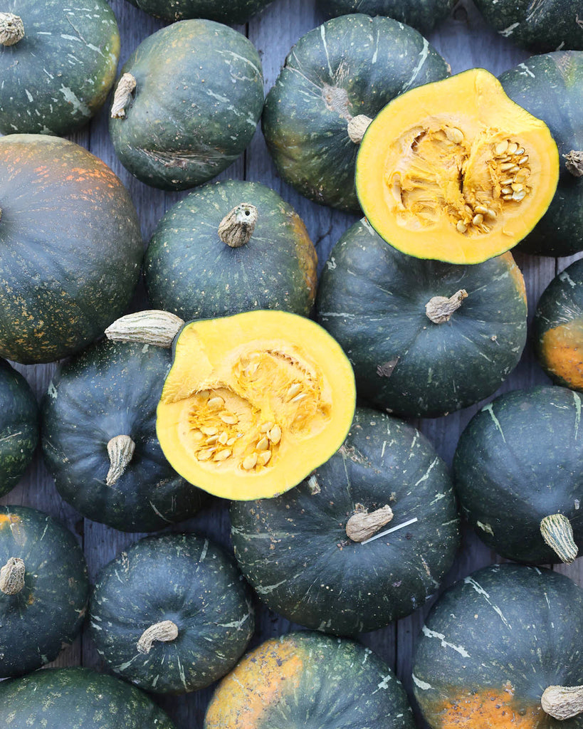 Pumpkin 'Green Hokkaido' - Cucurbita maxima