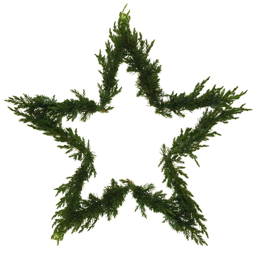 Fensterdekoration mit Metall-Sternen – natürliche Weihnachtsdeko von Eldgarden