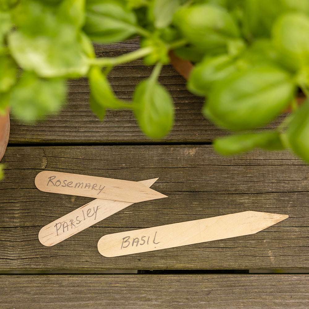 Pflanzschilder aus Birkenholz im 40er Set – beschriftbare Holzetiketten für Aussaat und Anzucht von Gartenzauber auf einem Holztisch