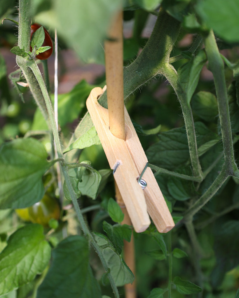 Pflanzklammer von Bürstenhaus Redecker