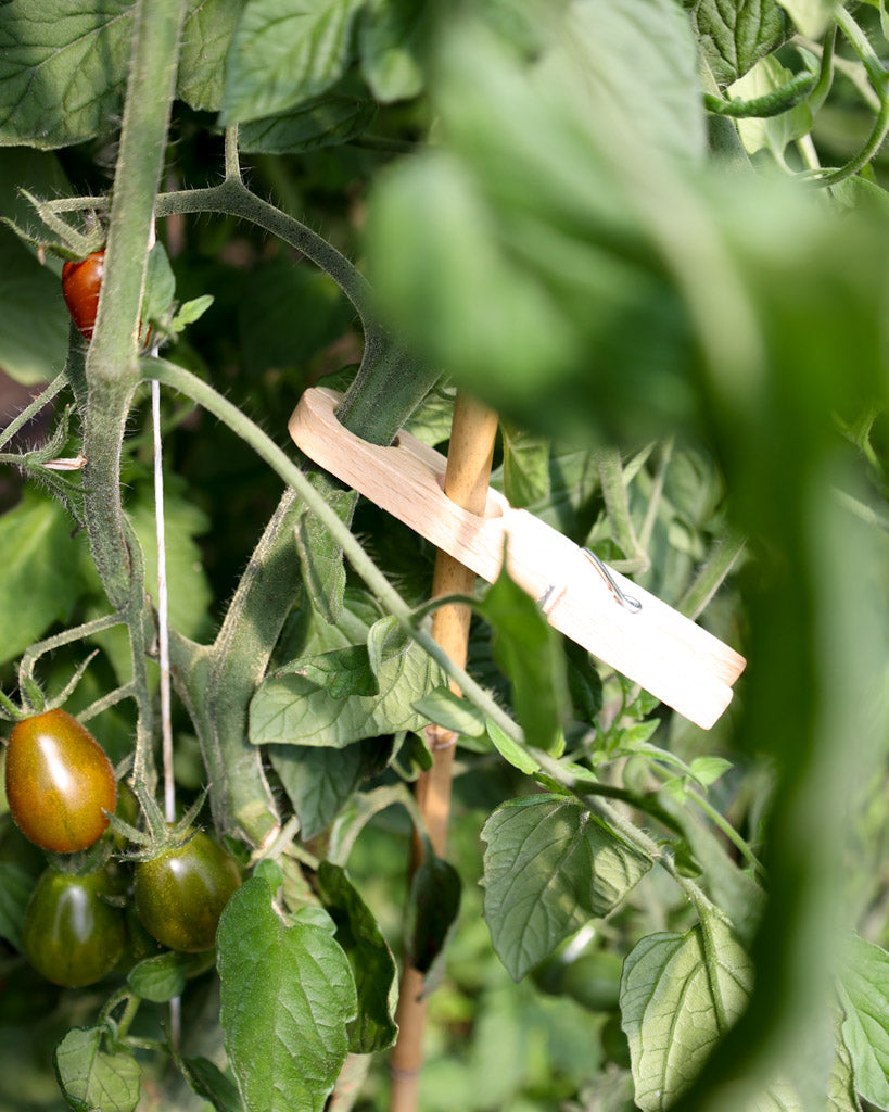 Pflanzklammer von Bürstenhaus Redecker