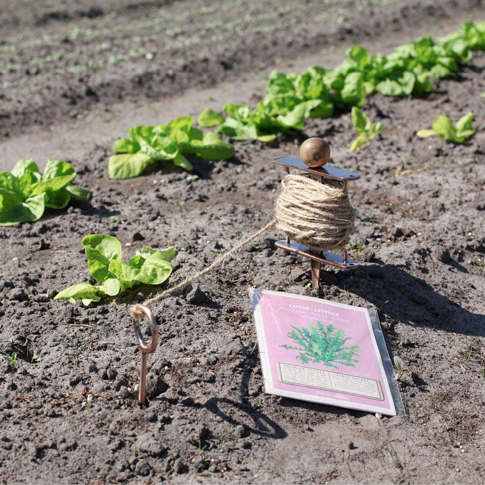 Pflanzleine aus Carbonstahl und Eschenholz mit gespannter Juteschnur im Beet