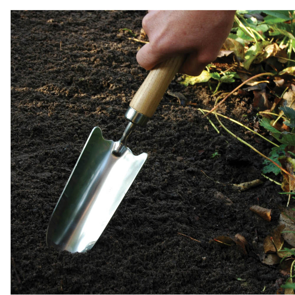 Pflanzschaufel beim Einsetzen von Pflanzen im Beet – robustes Gartenwerkzeug aus Edelstahl