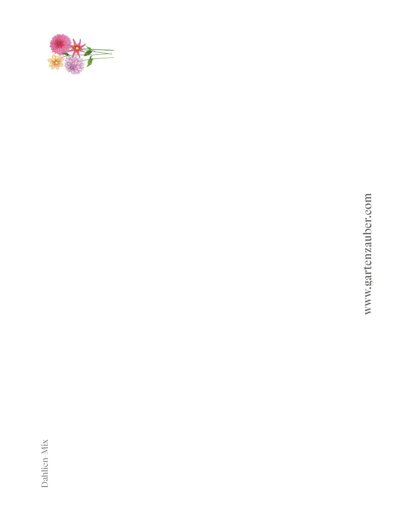 Handgezeichnete Postkarte „Dahlien“ aus der Gartenzauber Papeterie – bunte Blütenillustration für besondere Grüße.