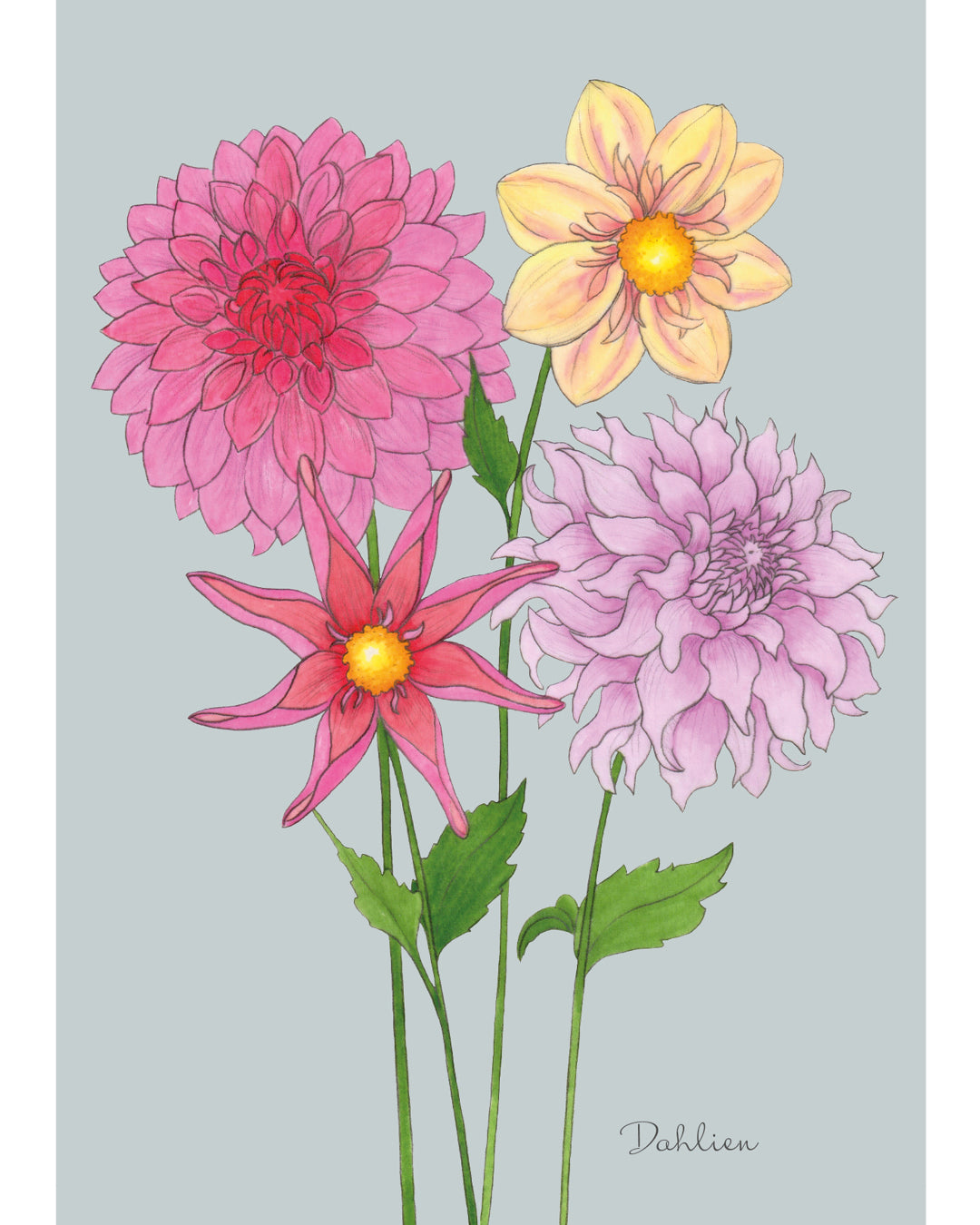 Postkarte mit handgezeichnetem Dahlien-Motiv aus der Gartenzauber Papeterie – detailverliebt und liebevoll gestaltet.