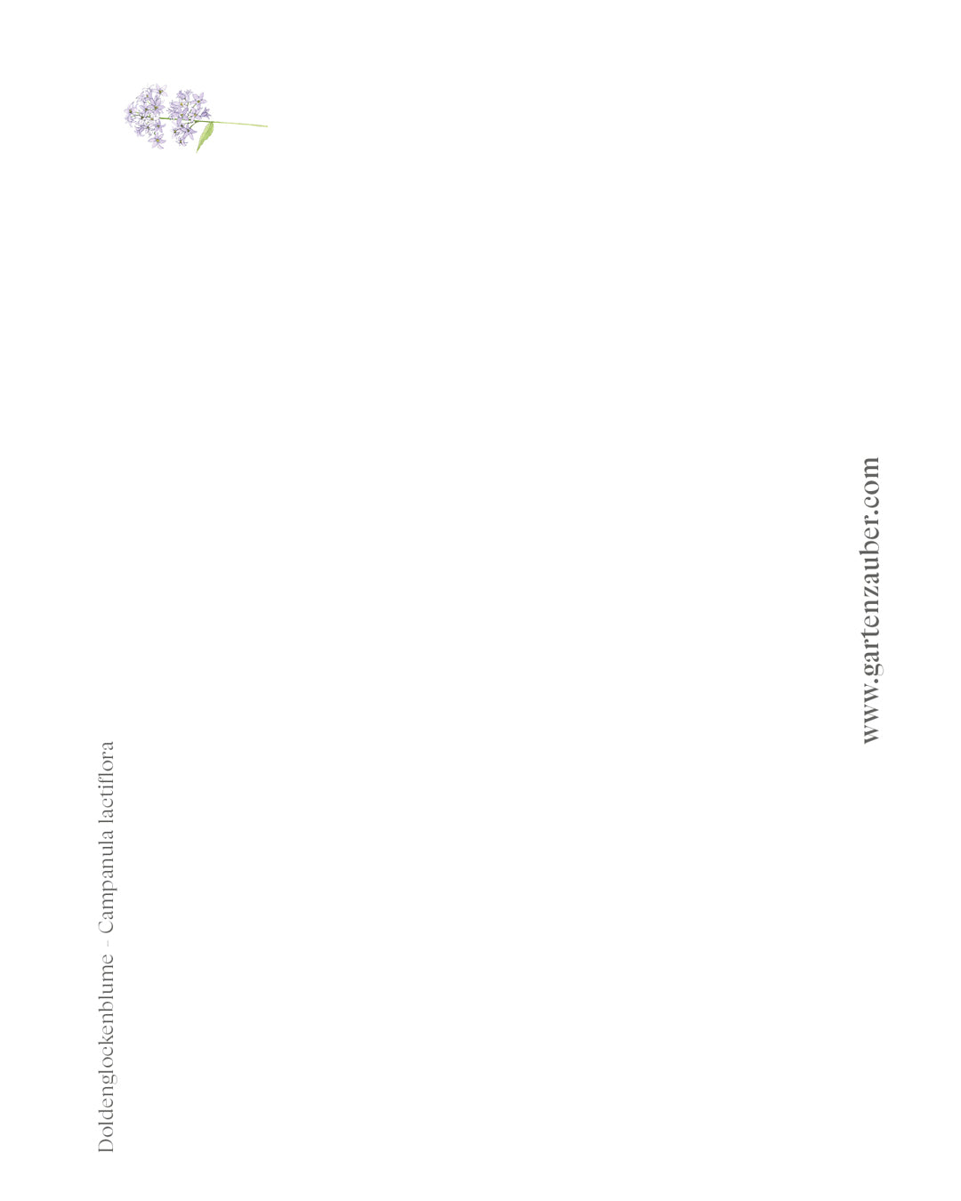 Handgezeichnete Postkarte mit Motiv der Doldenglockenblume aus der Gartenzauber Papeterie – – zarte Blütenillustration für besondere Grüße.