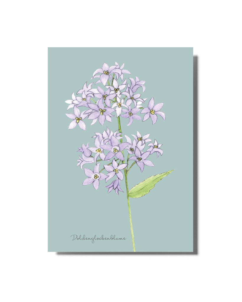 Handgezeichnete Postkarte mit Motiv der Doldenglockenblume aus der Gartenzauber Papeterie – zarte, detailreiche Illustration.