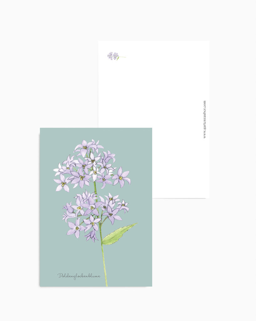 Handgezeichnete Postkarte mit Motiv der Doldenglockenblume aus der Gartenzauber Papeterie – zarte, detailreiche Illustration.