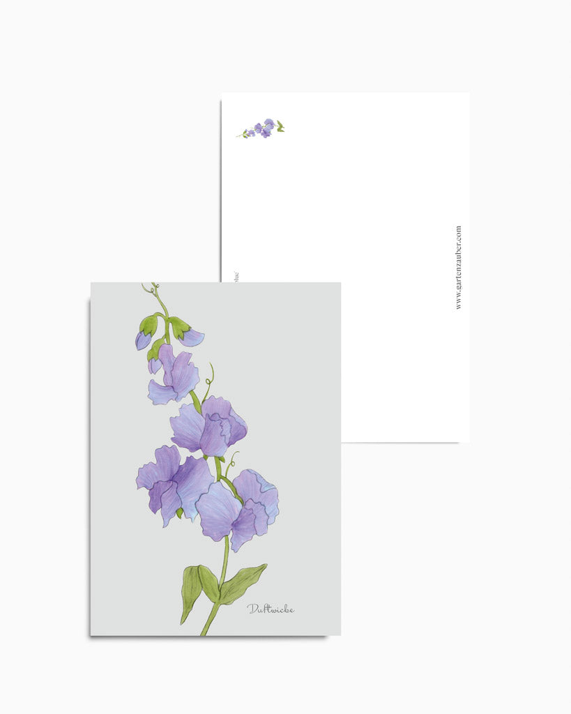 Postkarte mit handgezeichnetem Motiv der blauen Duftwicke aus der Gartenzauber Papeterie – filigran und detailverliebt gestaltet.