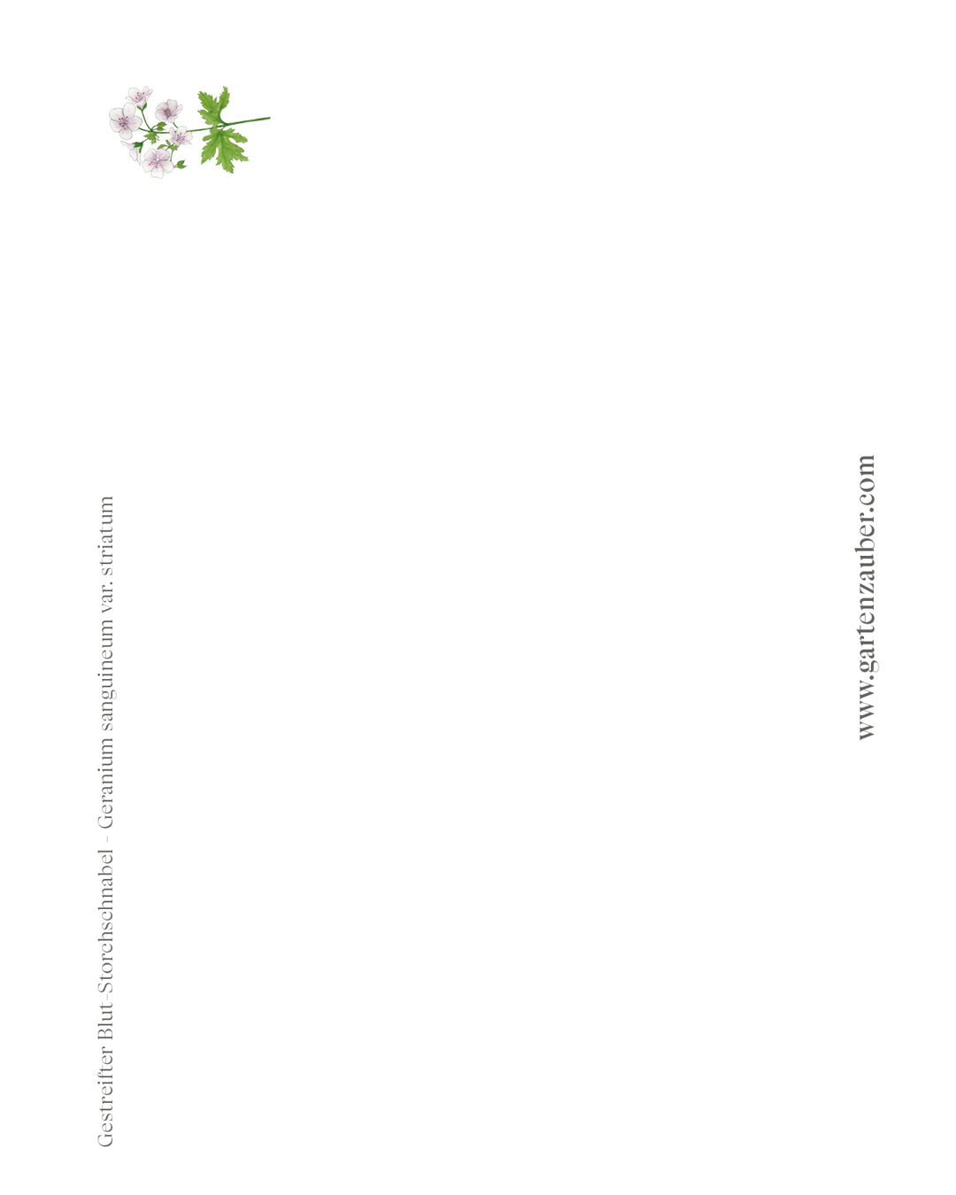 Handgezeichnete Postkarte Storchschnabel aus der Gartenzauber Papeterie – detailreiche Illustration der zarten Blüten.