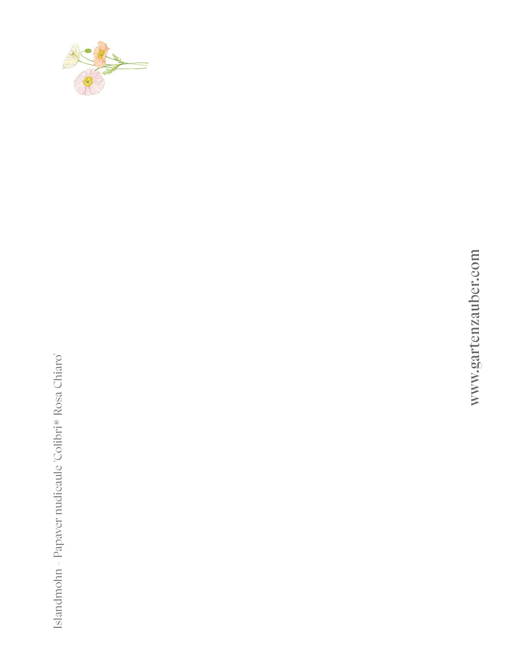 Handgezeichnete Postkarte „Islandmohn“ aus der Gartenzauber Papeterie – zarte Blütenillustration für besondere Grüße.