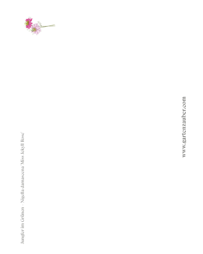 Handgezeichnete Postkarte „Jungfer im Grünen – Miss Jekyll Rose“ aus der Gartenzauber Papeterie – feine Blütenillustration für besondere Grüße. 