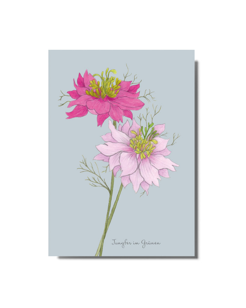 Postkarte mit handgezeichnetem Motiv „Jungfer im Grünen – Miss Jekyll Rose“ aus der Gartenzauber Papeterie – zarte Illustration in Rosatönen. 