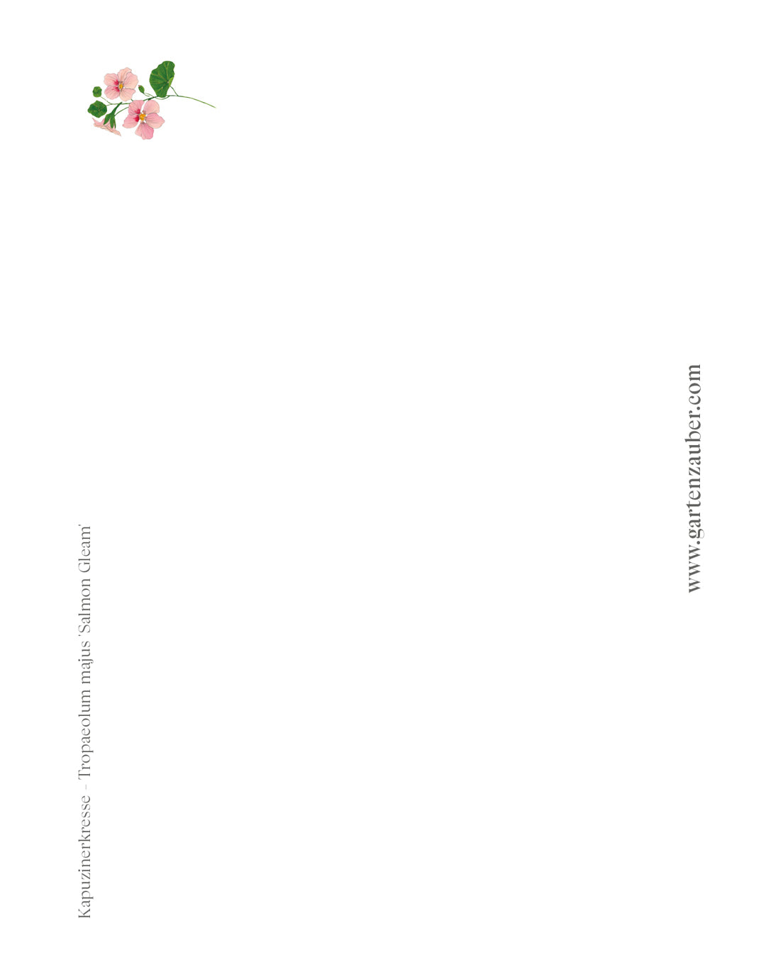 Handgezeichnete Postkarte Kapuzinerkresse aus der Gartenzauber Papeterie – detailreiche Illustration in warmen Rosatönen.