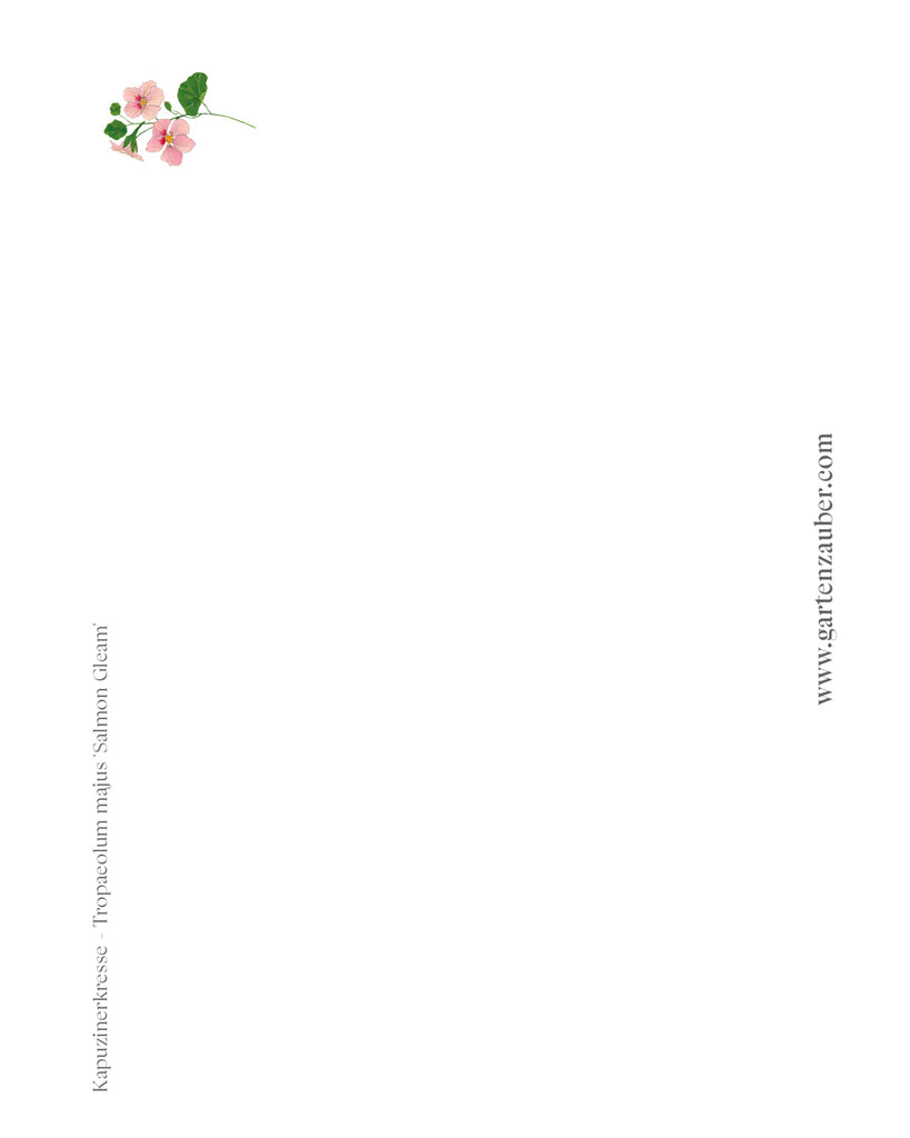 Handgezeichnete Postkarte Kapuzinerkresse aus der Gartenzauber Papeterie – detailreiche Illustration in warmen Rosatönen.