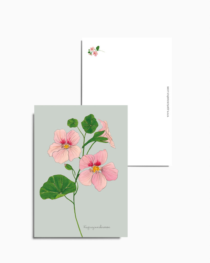 Postkarte mit handgezeichneter Kapuzinerkresse aus der Gartenzauber Papeterie – zarte Lachsrosa-Blüten mit gelbem Zentrum.