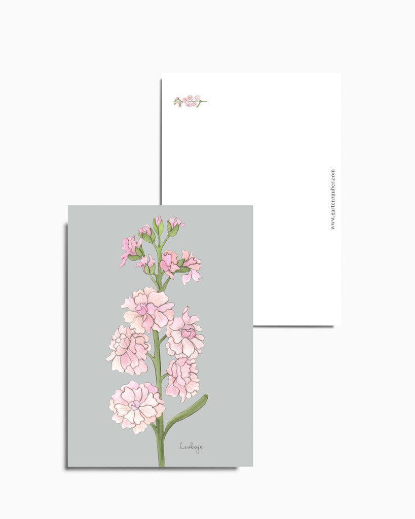 Postkarte mit handgezeichneter rosafarbener Levkoje aus der Gartenzauber Papeterie – detailreich illustriert