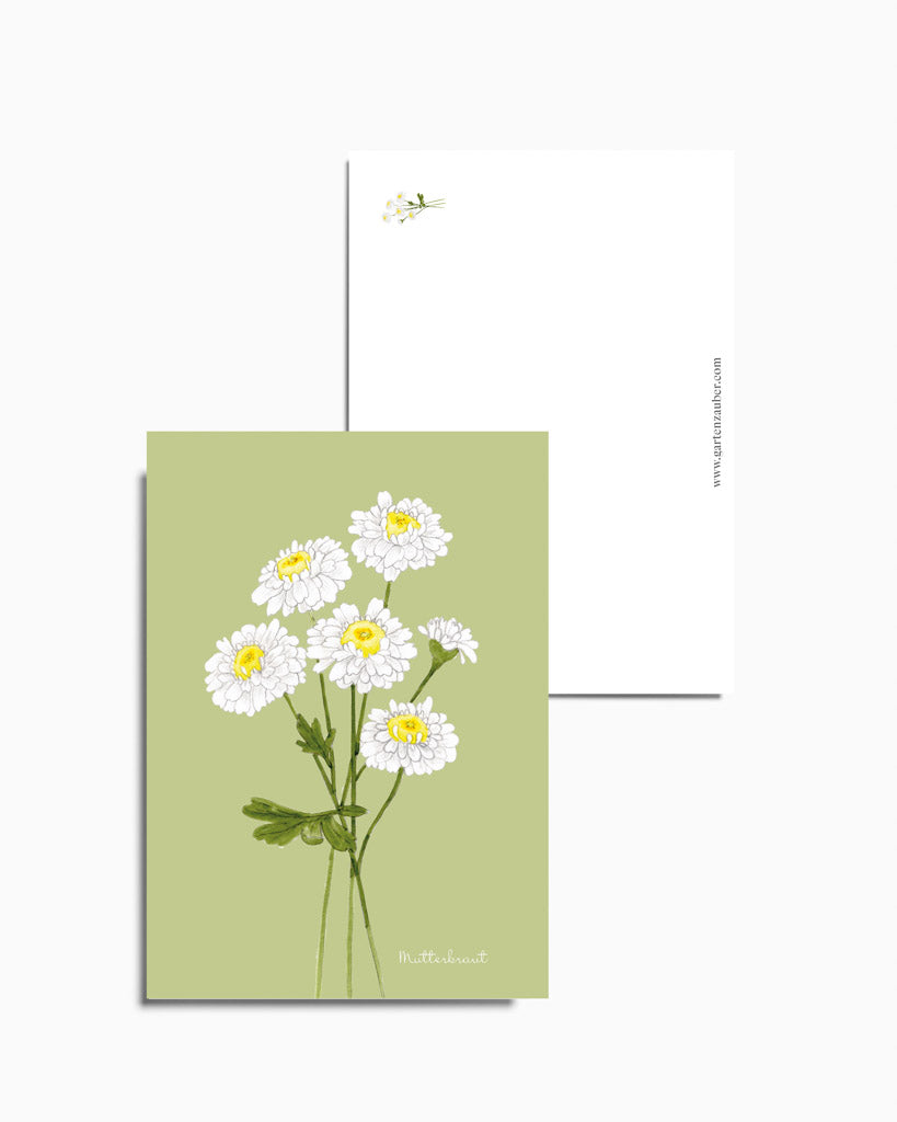Handgezeichnete Postkarte Mutterkraut aus der Gartenzauber Papeterie – elegante Blütenillustration in sanften Grün und Weißtönen.
