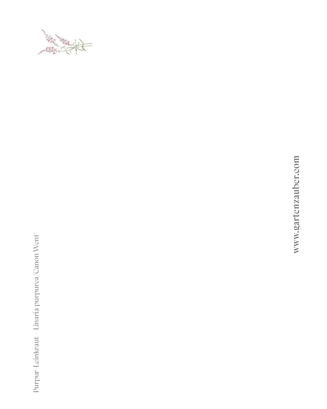 Handgezeichnete Postkarte Purpur-Leinkraut aus der Gartenzauber Papeterie – filigrane Illustration mit rosa Blüten.