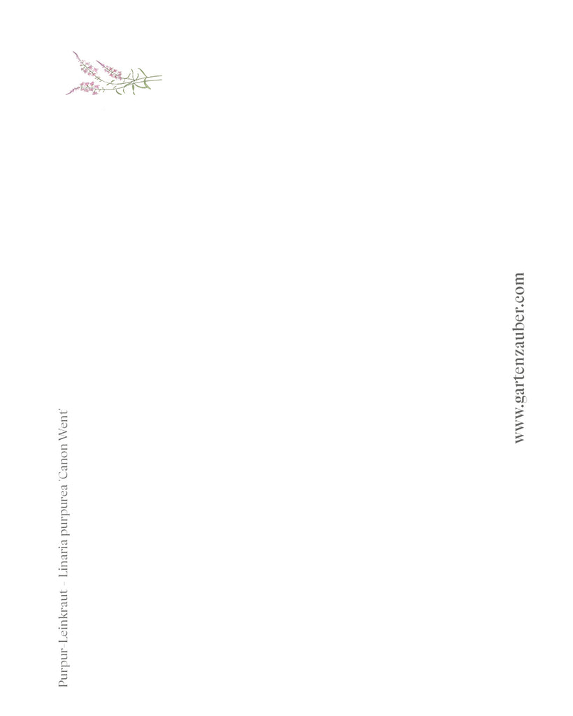 Handgezeichnete Postkarte Purpur-Leinkraut aus der Gartenzauber Papeterie – filigrane Illustration mit rosa Blüten.