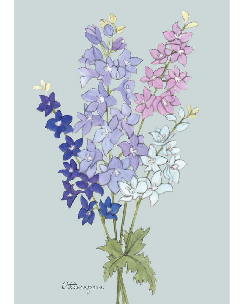 Postkarte mit handgezeichnetem Rittersporn-Motiv aus der Gartenzauber Papeterie – detailreiche Illustration in Blau- und Lilatönen.