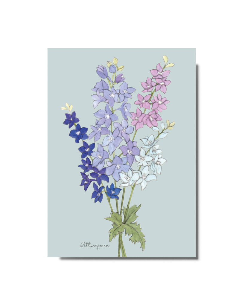 Postkarte mit handgezeichnetem Rittersporn-Motiv aus der Gartenzauber Papeterie – detailreiche Illustration in Blau- und Lilatönen.