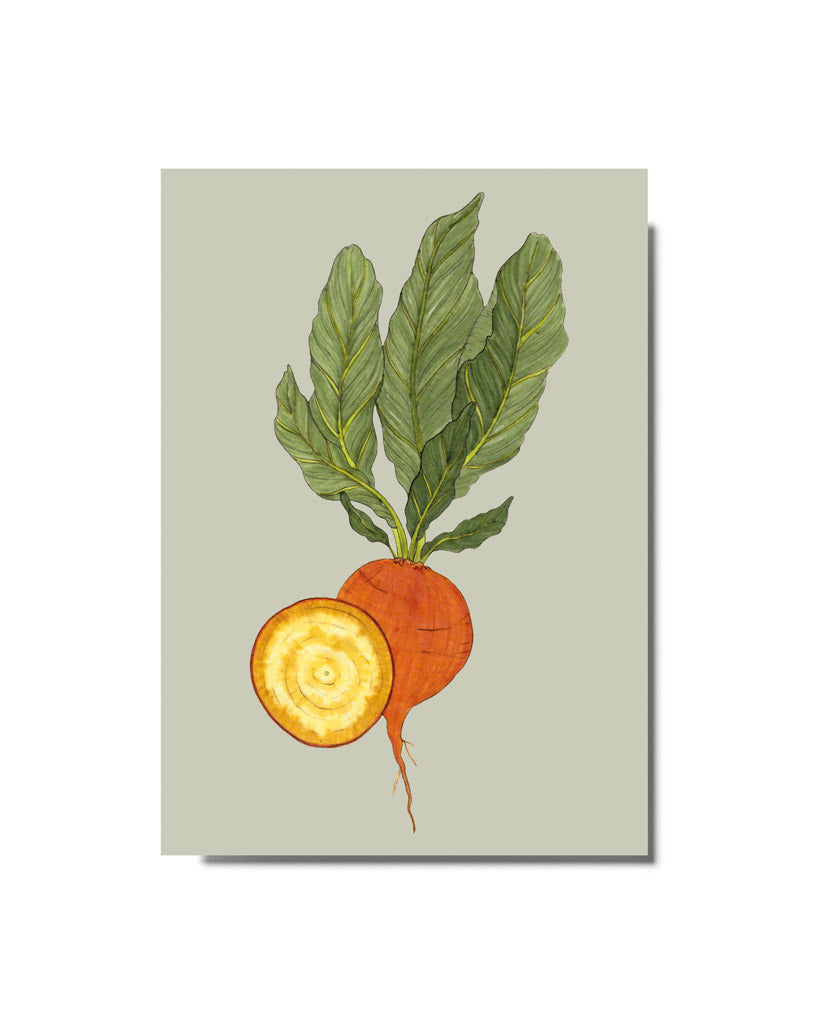 Postkarte mit handgezeichneter Rote Bete Wintersonne aus der Gartenzauber Papeterie – farbenfrohes Gemüse-Motiv mit goldgelbem Inneren.