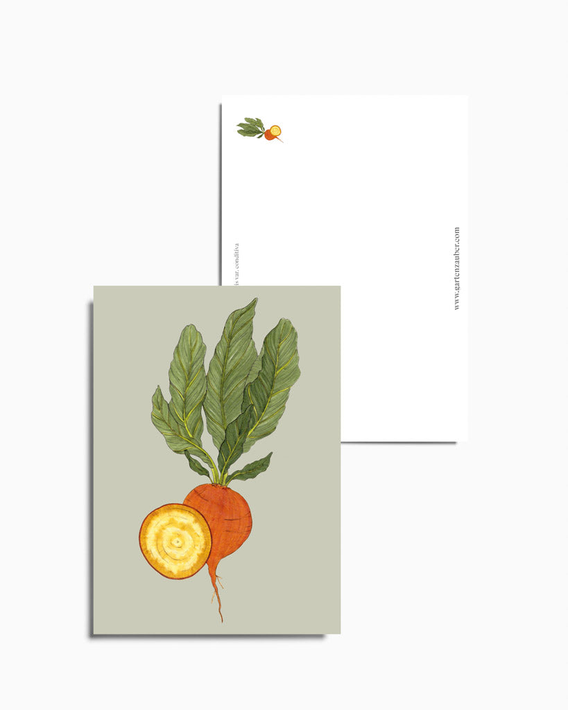 Postkarte mit handgezeichneter Rote Bete Wintersonne aus der Gartenzauber Papeterie – farbenfrohes Gemüse-Motiv mit goldgelbem Inneren.