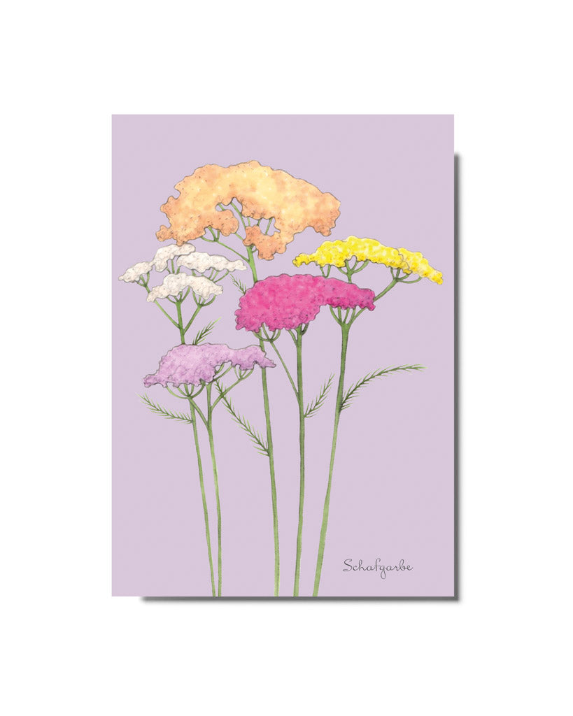 Postkarte mit handgezeichneter Schafgarbe in Pastellfarben aus der Gartenzauber Papeterie – filigran illustriert.