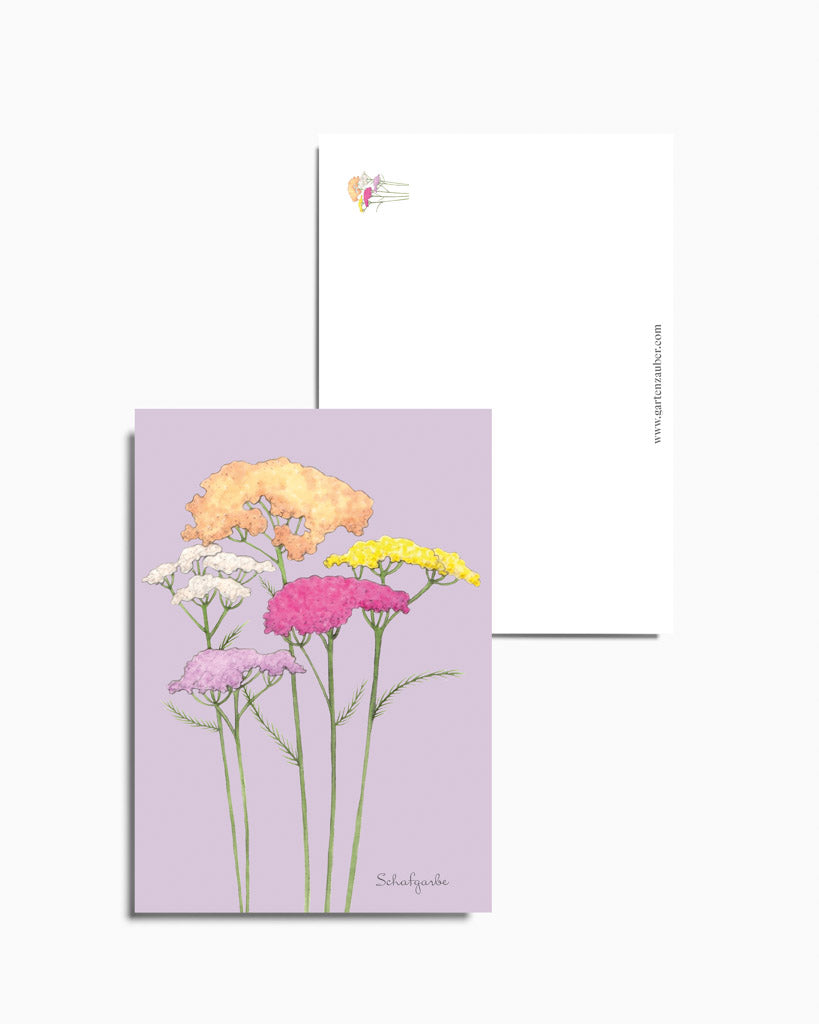 Postkarte mit handgezeichneter Schafgarbe in Pastellfarben aus der Gartenzauber Papeterie – filigran illustriert.