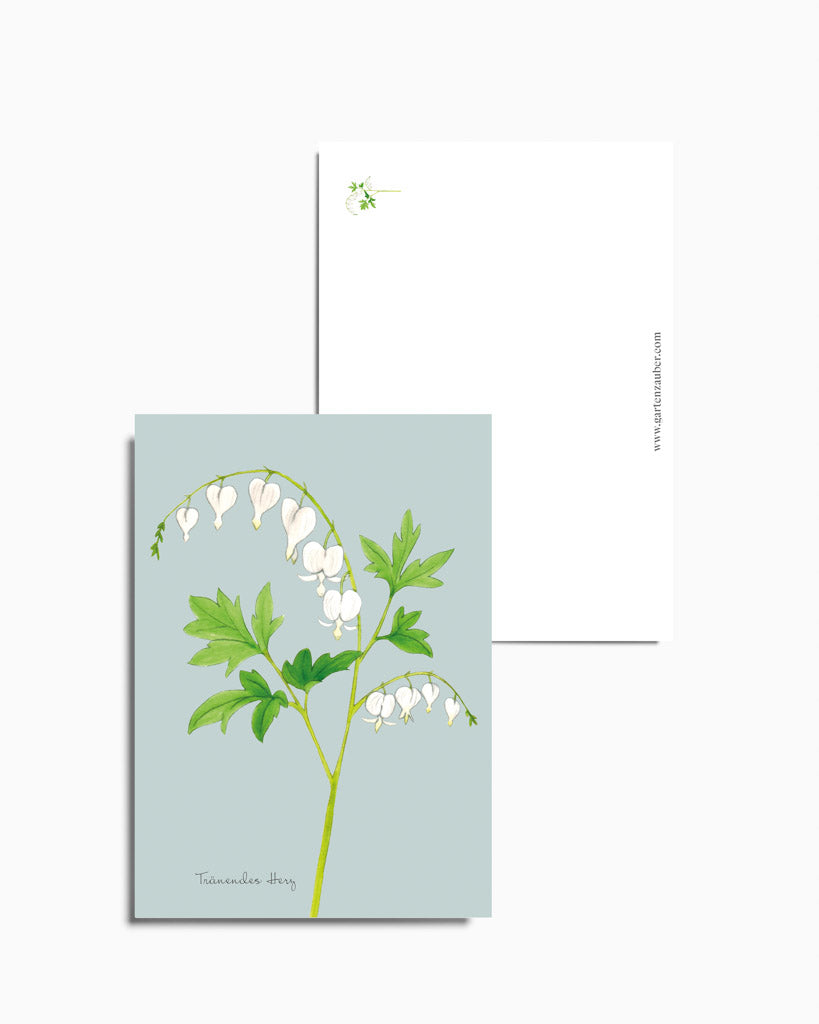 Postkarte mit handgezeichneter Illustration des weißen Tränenden Herzens Alba aus der Gartenzauber Papeterie – detailreich und romantisch gestaltet.
