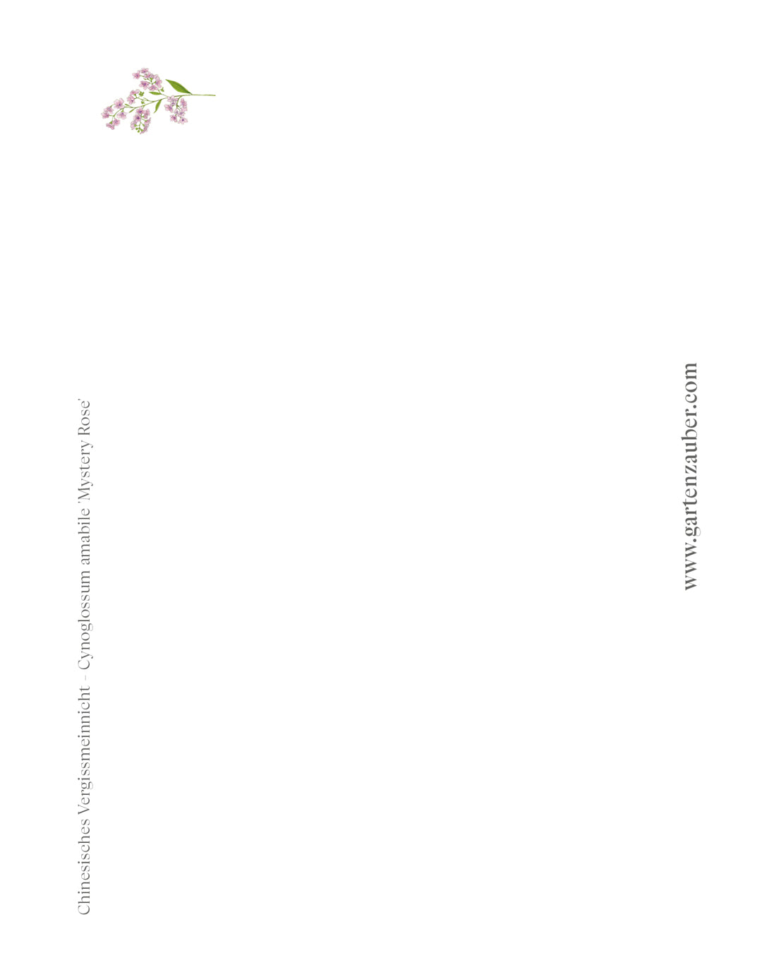 Handgezeichnete Postkarte chinesisches Vergissmeinnicht Mystery Rosé aus der Gartenzauber Papeterie – filigrane Blütenillustration in zarten Rosatönen.