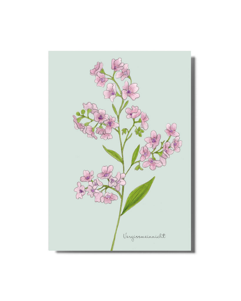Postkarte mit handgezeichnetem chinesischen Vergissmeinnicht in Rosétönen aus der Gartenzauber Papeterie – detailreich illustriert.