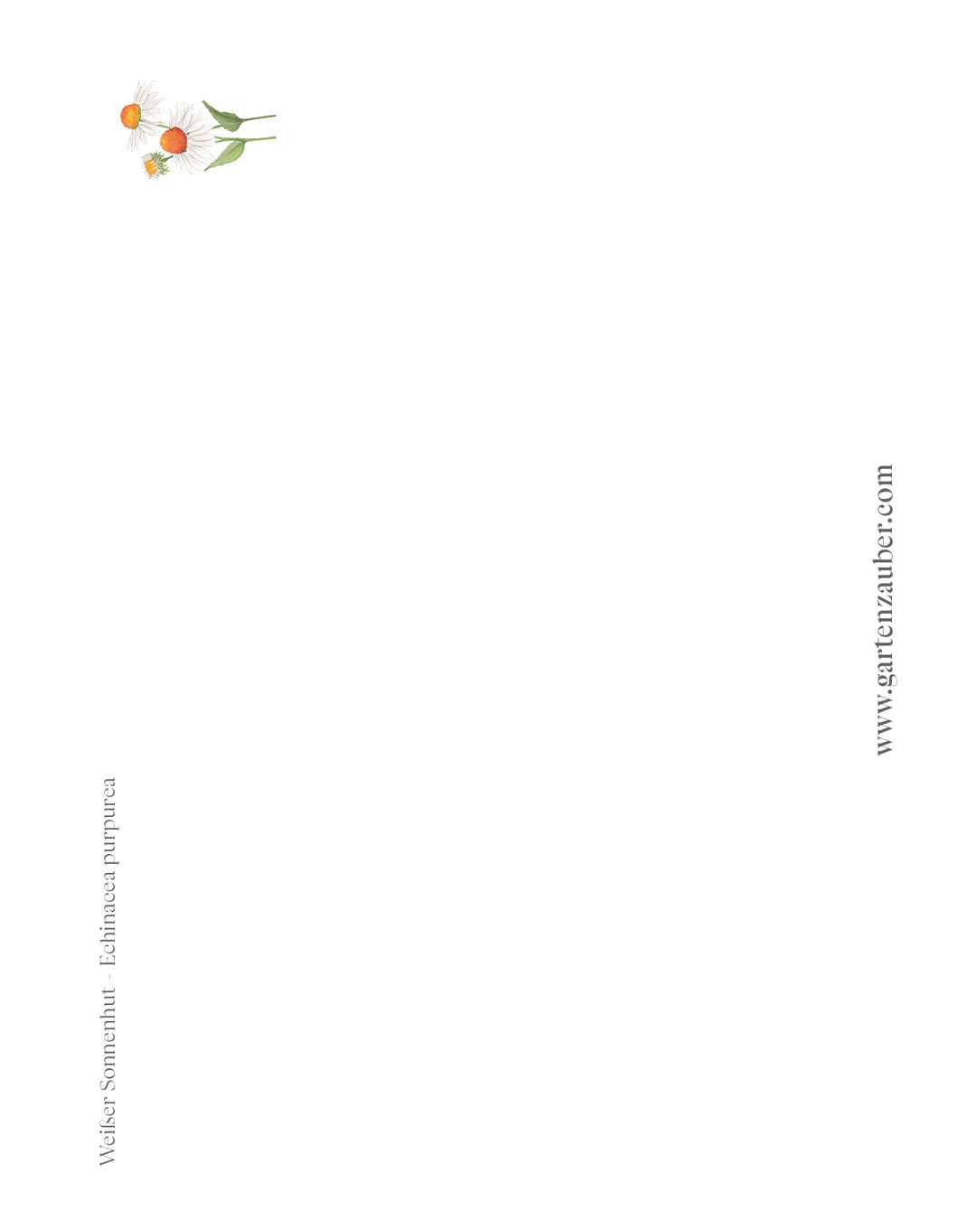 Handgezeichnete Postkarte Weißer Sonnenhuat aus der Gartenzauber Papeterie – filigrane Blütenillustration.