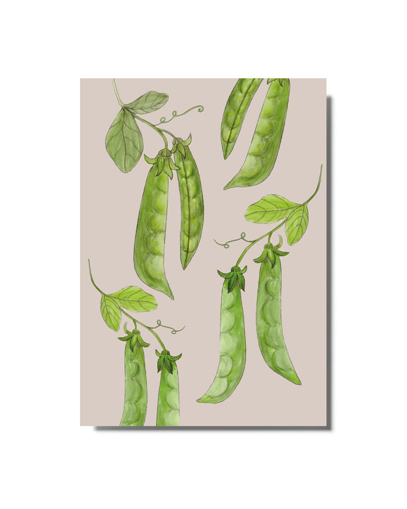 Postkarte mit handgezeichneter Zuckererbse aus der Gartenzauber Papeterie – frische grüne Schoten mit Blättern und Ranken.