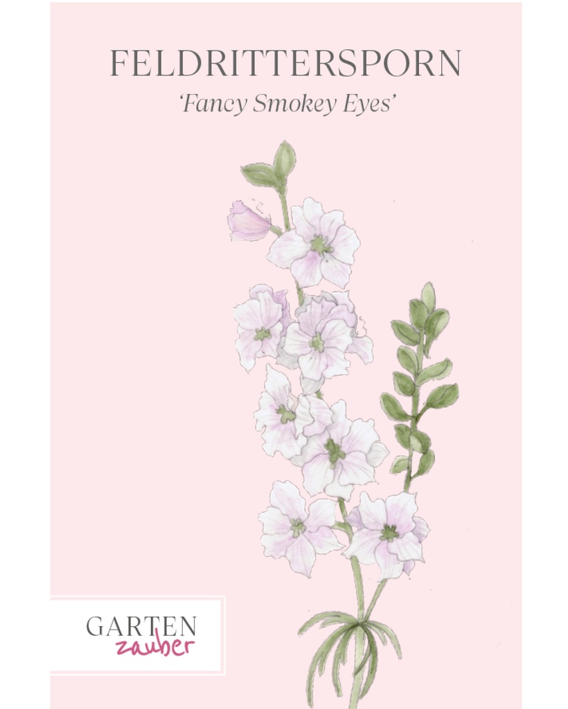 Vorderansicht Saatguttuete  Feldrittersporn - Delphinium consolida `QIS Fancy Smokey Eyes` aus der Gartenzauber-Saatgutserie